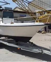 Barca con motore Suzuki