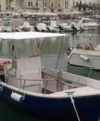 Gozzo in Vtr planante