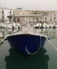 Gozzo in Vtr planante