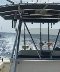 Pursuit C 260 Center Console