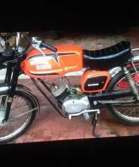Moto bimm