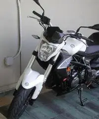 Benelli BN 302 naked BICILINDRICO -
