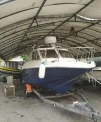 Pilotina Rio 6.2 volvopenta 150cv