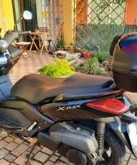 Xmax 250 2010