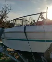 Mingolla brava 18 Mingolla brava 18