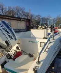 Mingolla brava 18 Mingolla brava 18