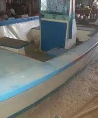 Barca punta licosa