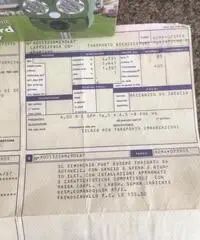 Carrello stradale, gommone e motore 20 cv