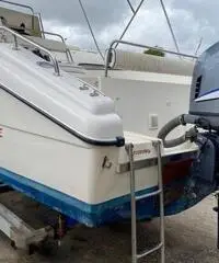 Euromarine 600 fish Yamaha 115 CV 4t 268 ore