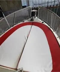 Bluline 23 deck