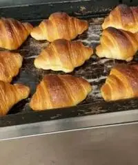 Panettiere