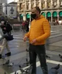 Tappezziere Tappezziere