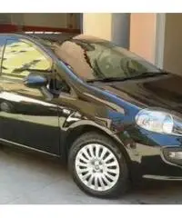 FIAT Punto Evo - GARANZIA 12 MESI X NEOPATENTATI FIAT Punto Evo - GARANZIA 12 MESI X NEOPATENTATI