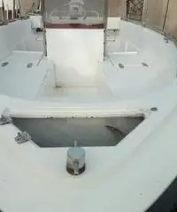 Barca a motore