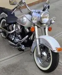 Harley Davidsons FLSTN Heritage special Harley Davidsons FLSTN Heritage special