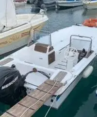 Motore mercury 25 cv 4 T