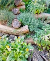 Recupero ambientale Recupero ambientale