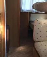 Camper CI International