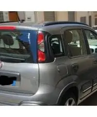 Panda cross