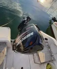 Barca motore carrello omologato stradale