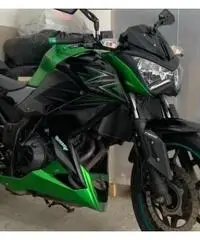 Kawasaki Z 300 - 2017 Kawasaki Z 300 - 2017