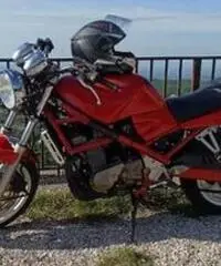 Suzuki bandit