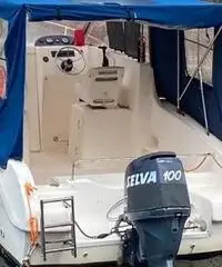 Pilotina Selva 6 m