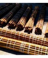 Vendo canne di bambù bambu con diametro da 1 cm. fino a 10 cm.