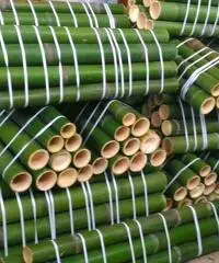 Vendo canne di bambù bambu con diametro da 1 cm. fino a 10 cm.