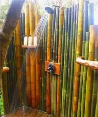 Vendo canne di bambù bambu con diametro da 1 cm. fino a 10 cm.