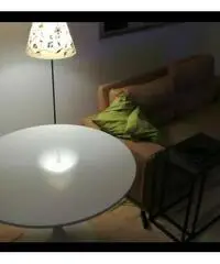 vendesi appartamento con terrazzina