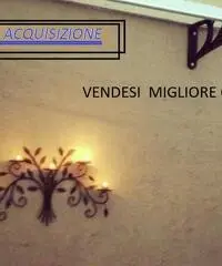 vendesi appartamento con terrazzina