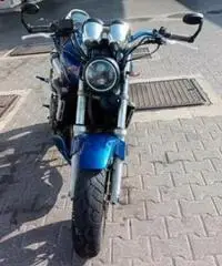 Honda Hornet - 1999