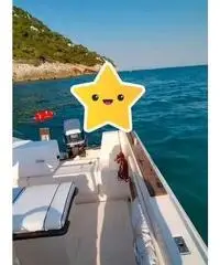 Barca amotore