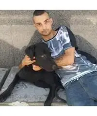 Dopo 6 anni ricerco te
