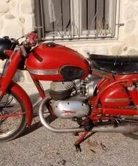 Altro Altro modello - 1954