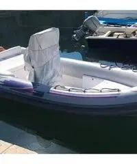 Nuova jolly