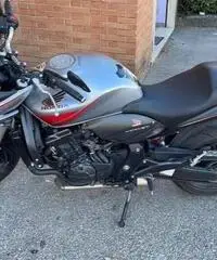 Honda Hornet - 2009