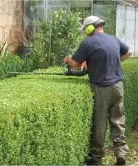 Giardiniere
