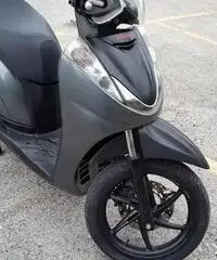 Sh300 sport Sh300 sport