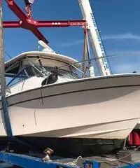 Grady White 330 Express + 2x350hp Yamaha (tutto 20