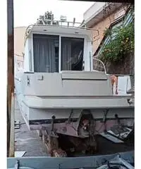 Sessa dorado 26