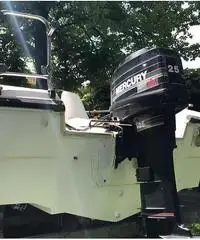 Promozione di fine anno