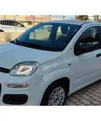 FIAT Panda Easy 1.2 Benz 69 CV