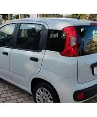 FIAT Panda Easy 1.2 Benz 69 CV