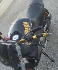 Buell