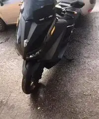 Scoter