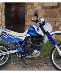 Suzuki DR DJEBEL 650