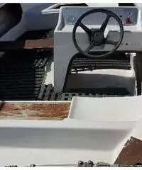 Barca in vetroresina