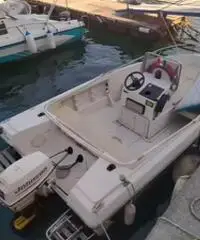 Barca con motore